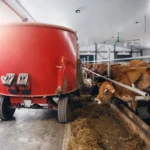 dairy-farm-feed-mixer-cows